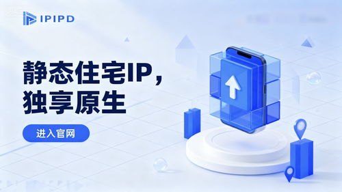 靜態(tài)住宅IP 跨境電商的隱形引擎——深度測(cè)評(píng)與實(shí)際應(yīng)用效果分析